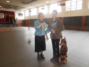 A proud winner at the OCA Dog Show held November 2015.