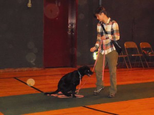 Using a long leash so the dogs don't run off when you call them.